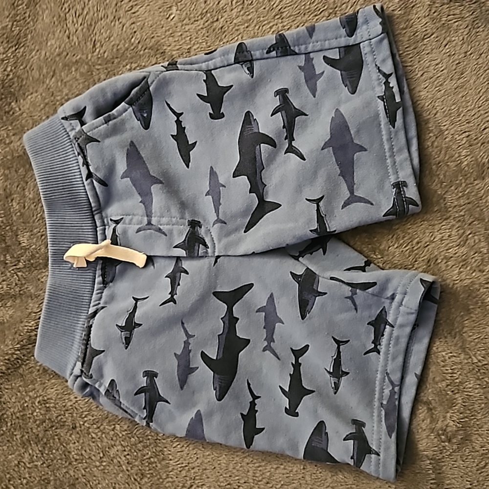 Kids headquarters blue shark print shorts 2t
